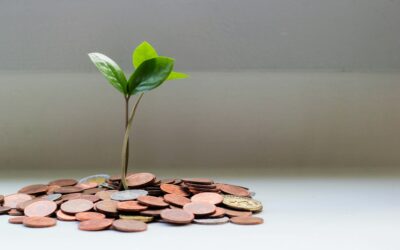 THE EVOLUTION OF PUBLIC RELATIONS AS A BUSINESS GROWTH STRATEGY